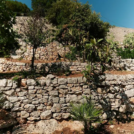 Trulli Paradise View Lejlighed Selva Di Fasano