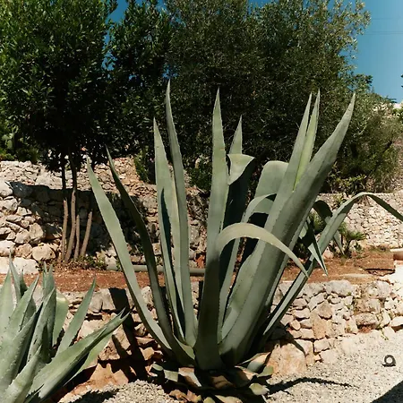 Trulli Paradise View Selva Di Fasano